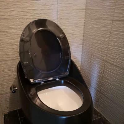 BỒN CẦU QUẢ TRỨNG MEN ĐEN R22 BLACK