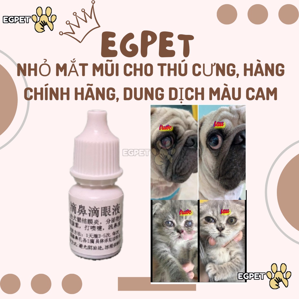 Nhỏ mắt, nhỏ mũi cho chó mèo thần thánh viêm mí mắt, chảy nước mắt, hắt hơi, sổ mũi, ho có đờm