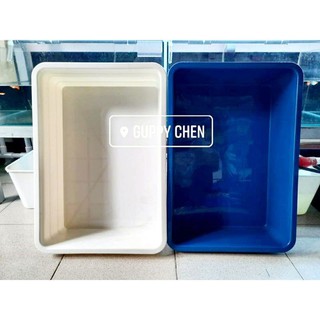 Combo 20 khay nhựa nuôi cá 50x35x14cm