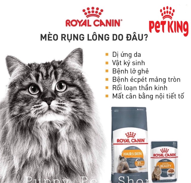 Thức Ăn Hạt Royal CANIN Hair &amp; Skin 400gr chăm sóc Da và Lông Cho Mèo yêu