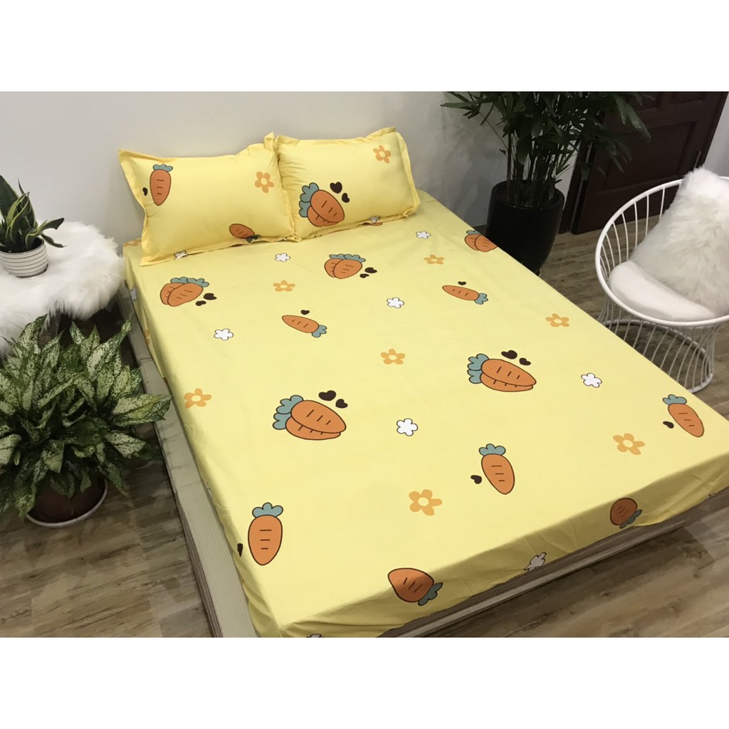 Ga Chống Thấm Cotton Hàn Quốc Cà Rốt Vàng CTT20