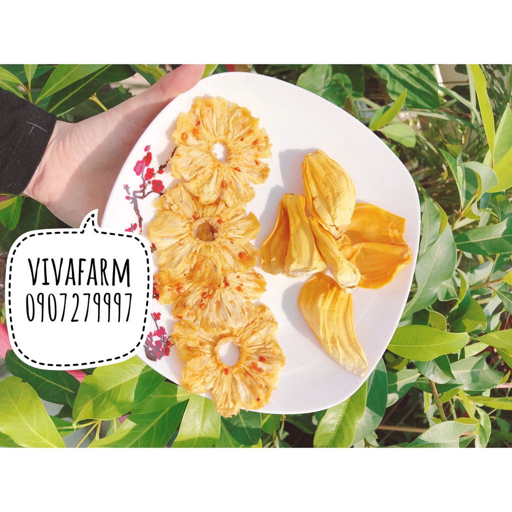 Combo Thơm sấy muối ớt và Mít sấy dẻo | 200g | trái cây sấy dẻo VivaFarm | trái cây sấy không đường không chất bảo quản
