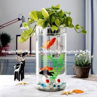 Bình Bông Lọ Hoa D12XH40Cm - Trụ cắm Hoa Thủy Tinh Trơn