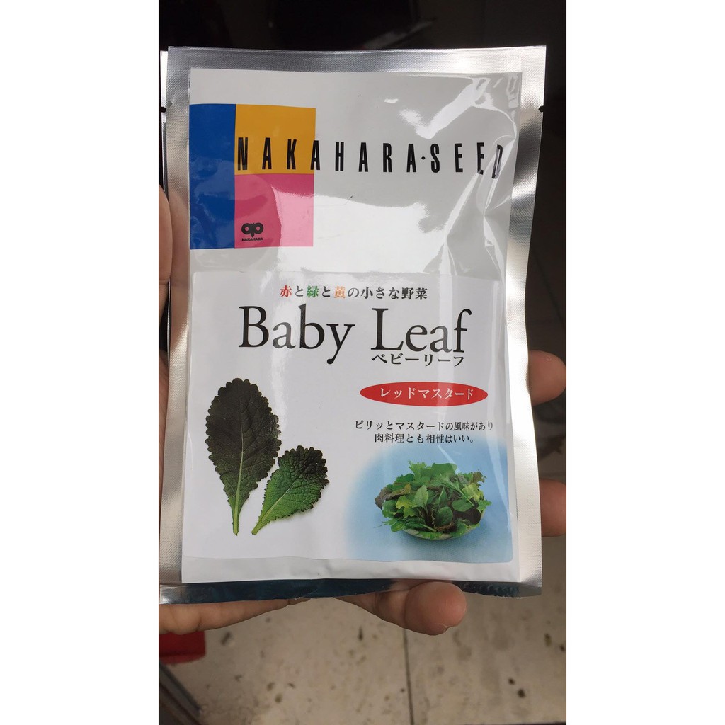 ATP Farm - Hạt giống cải MÙ TẠT ĐỎ BABYLEAF - Nhật Bản