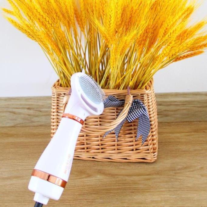 Orgo- Máy Sấy Lông Cho Thú Cưng, Lược Chải Lông Cho Chó Mèo 2 in 1