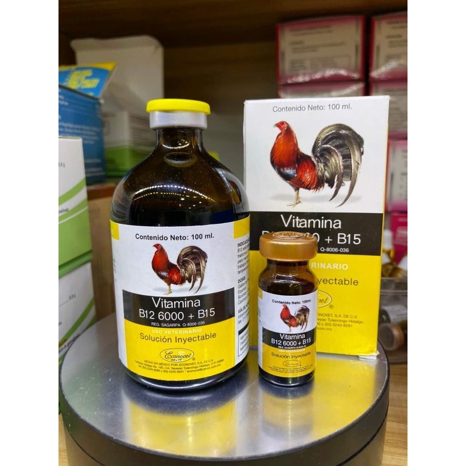 B12 6000 + B15 chai 10ml - Dinh dưỡng cho gà đá - hàng nhập khẩu