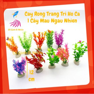 Cây rong nhựa trang trí hồ cá cảnh hòn non bộ size 12CM (đủ mẫu 1 cây)
