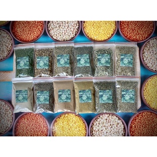 Gia vị nấu ăn món tây : Parsley, Rosemary, Oregano, Marjoram, Thyme, Basil, Cumin Whole, Coriander...