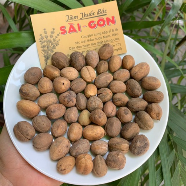 Hạt Bả Đậu