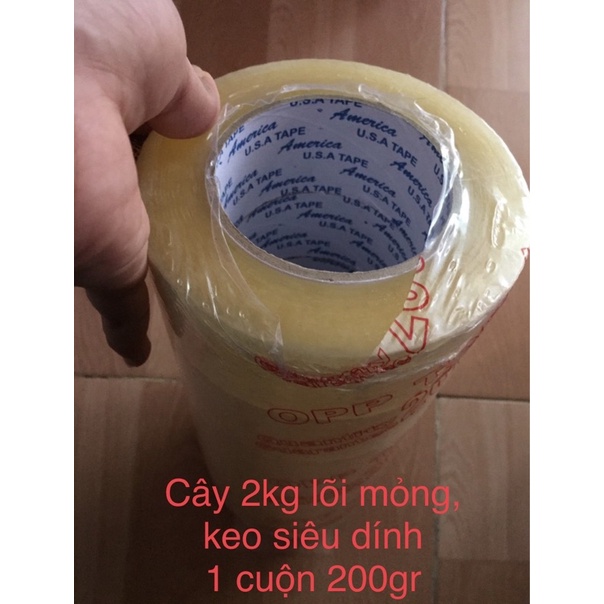 BĂNG KEO 200YARD 2KG, LỐC 6 CUỘN