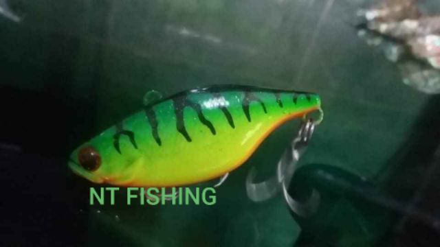 Mồi câu lure TN 50