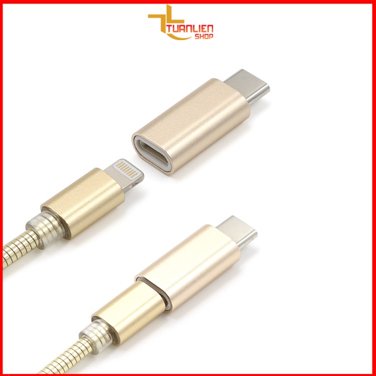 Bộ 2 đầu chuyển đổi từ Ip sang Type C