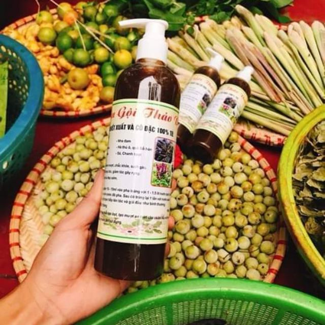 Dầu gội thảo dược