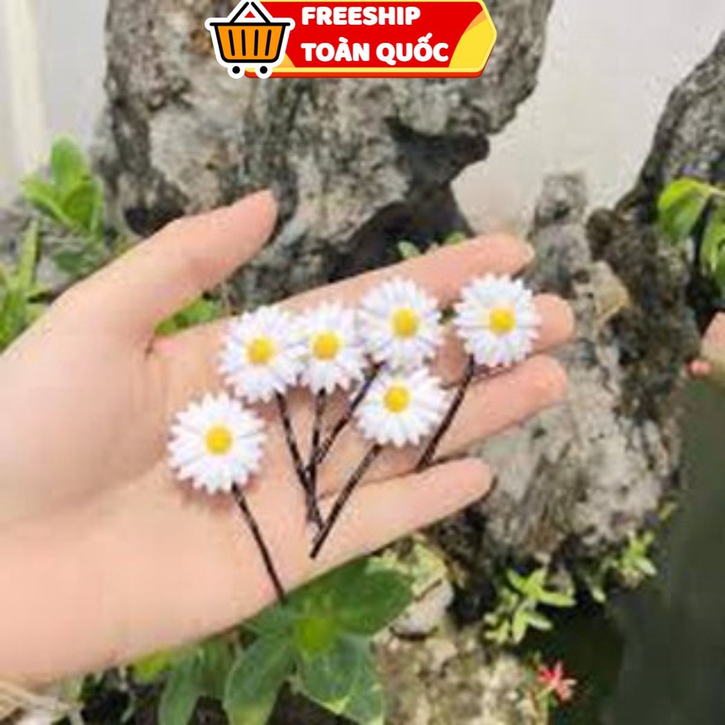 PVN15113 Set 2 kẹp tóc hoa cúc T2 .