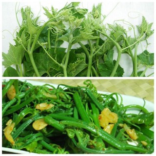 Hạt bí ngọn siêu đọt- gói 20 gram