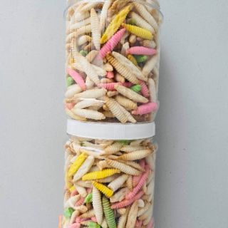 😍BÁNH SÙNG SỮA😍