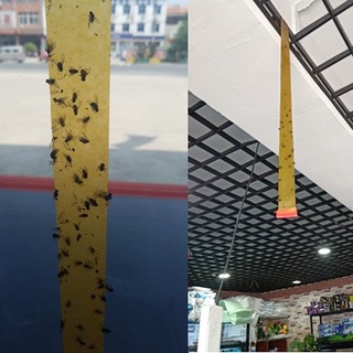 Fly Sticky Trap Sticky Paper Trap Catcher Flying Insect Wasp Killer