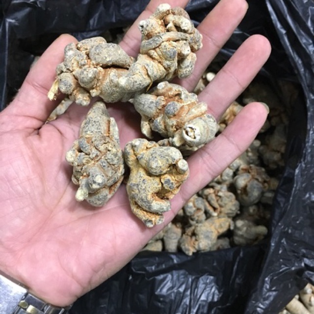Củ tam thất ( 1kg ) uy tín chất lượng