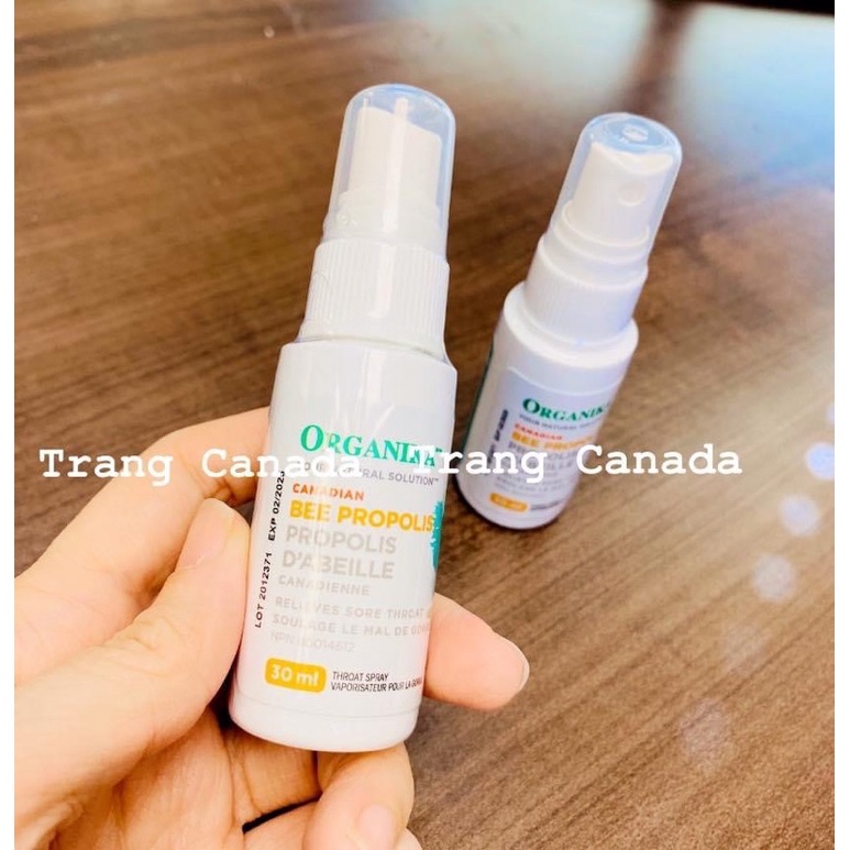 Keo ong xịt họng ORGANIKA BEE PROPOLIS 30ml dạng xịt- Loại không chứa C.ồn