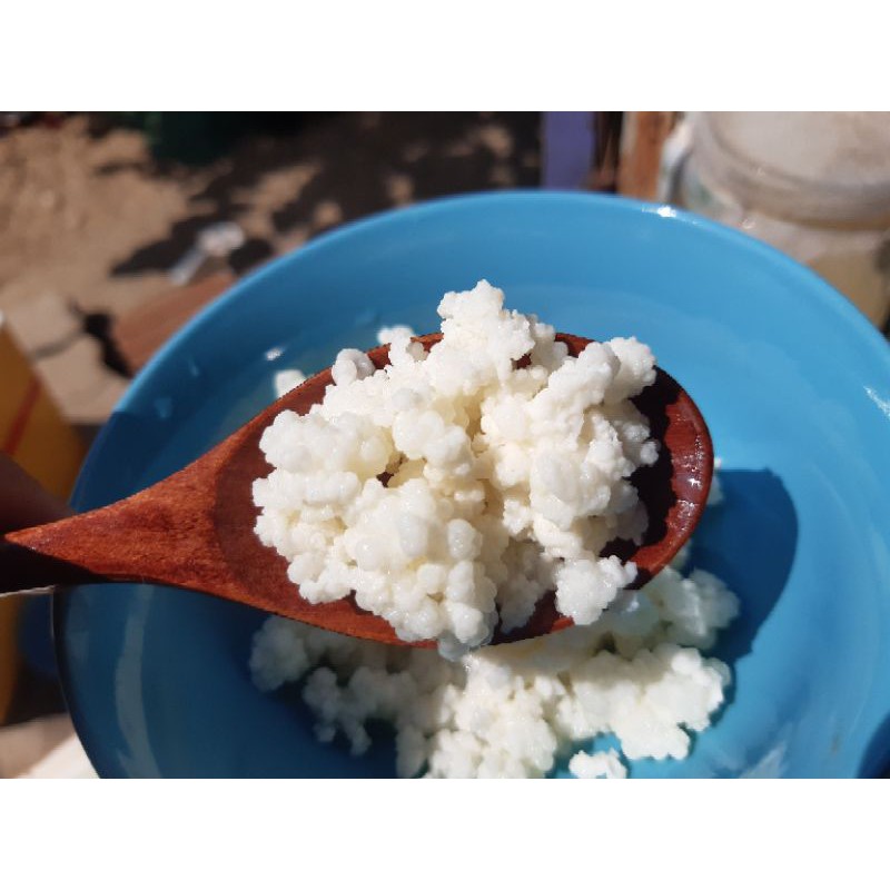 Combo nấm sữa