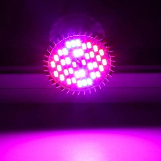 Đèn led 30W E27 chuyên dụng trồng cây