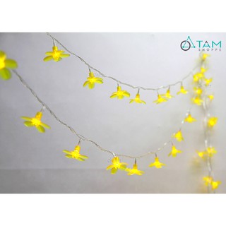 Dây đèn Led hoa mai vàng cánh dày 10m L-DDTET-01 TTTM