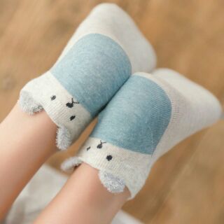 Set tất hộp Caramella