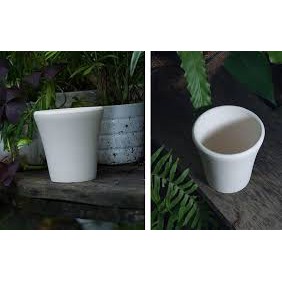Chậu đất nung loe - Kích thước 10cm * 10cm