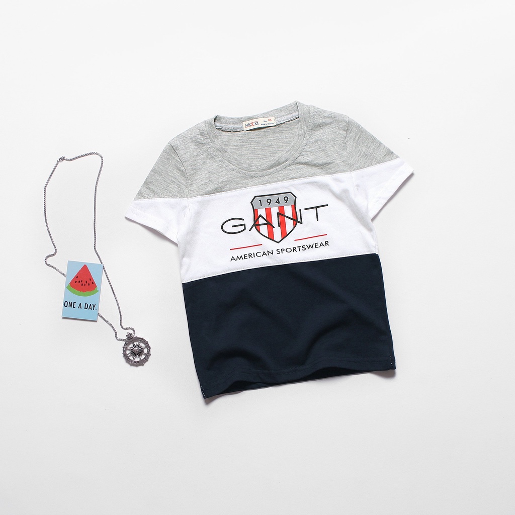 2206.AO THUN NT PHOI 3 MAU GANT