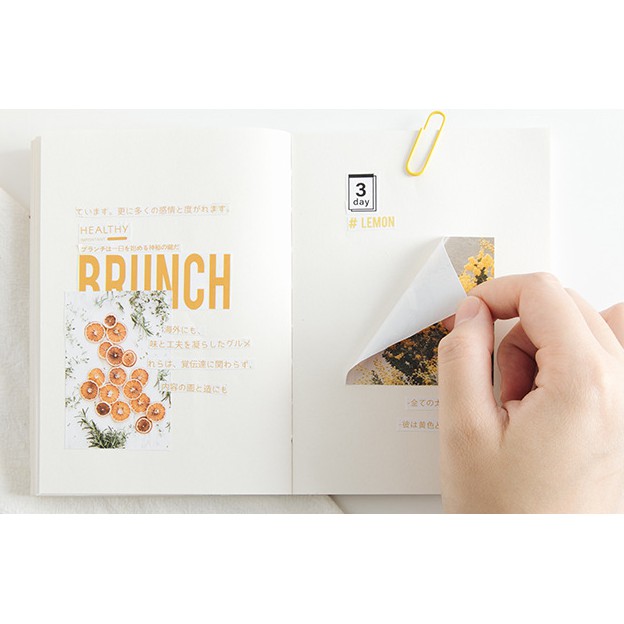 KimiTape quyển Sticker cao cấp RosyPosy  Phong cách hiện đại