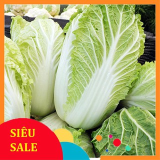Hạt giống Cải thảo lai F1 VIETPHAT