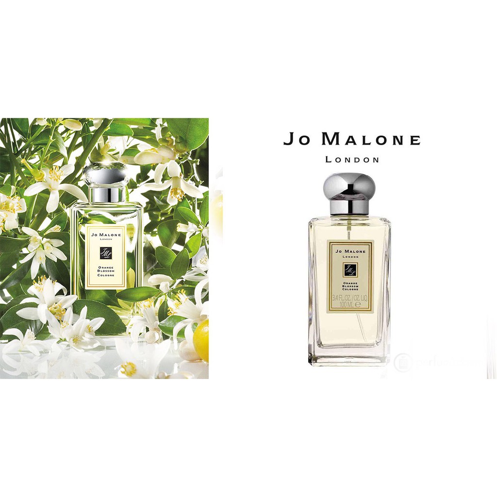 𝗣𝗲𝗿𝗳𝘂𝗺𝗶𝘀𝘁® Nước Hoa Orange Blossom Jo Malone Test