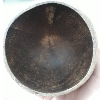 Bát gáo dừa mọc
