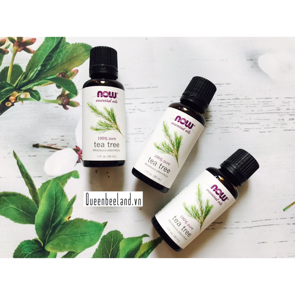 DẦU TRÀM TRÀ NOW TEA TREE (30ML)