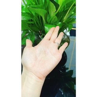 Serum dưỡng tóc M.oil  mềm mượt ,thơm 50ml