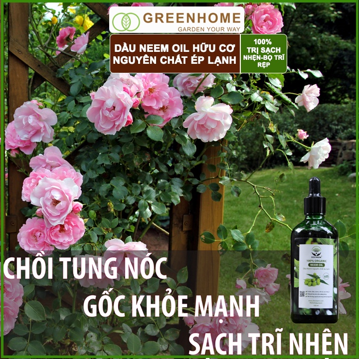 Dầu Neem oil, chai 50ml, hữu cơ phòng trị sâu bệnh hoa hồng, phong lan, cây cảnh, nguyên chất ép lạnh |Greenhome