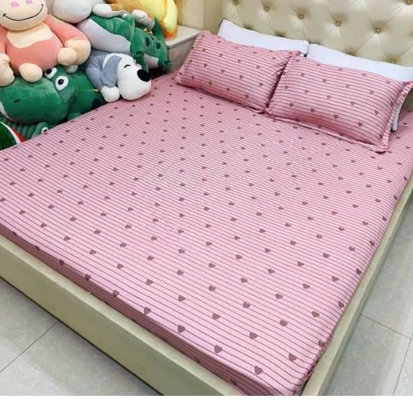 Ga poly cotton loại đẹp tặng kèm 2 vỏ áo gối, ga chun bọc nệm nhiều kích thước giường | BigBuy360 - bigbuy360.vn