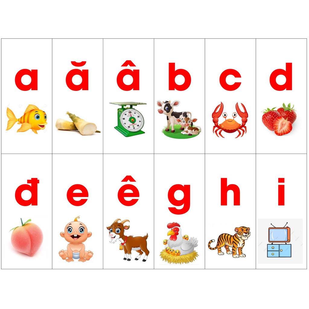 Học liệu bóc dán bảng chữ cái tiếng việt