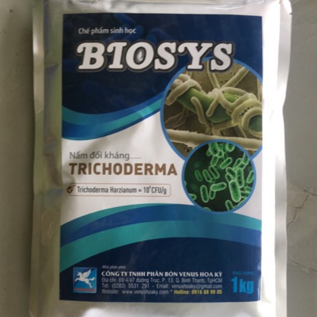 Nấm TRICHODERMA