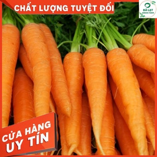 🥕HẠT GIỐNG CÀ RỐT F1_3GR🥕