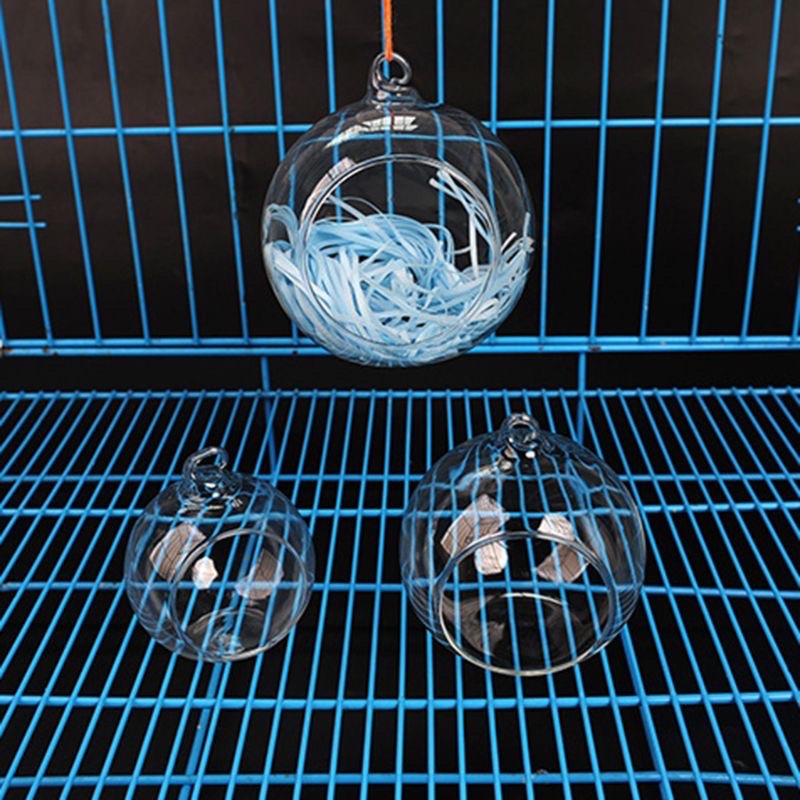 nhà ngủ thuỷ tinh treo trong suốt cho hamster