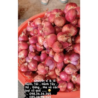 Hành vĩnh châu ngon 0,5kg