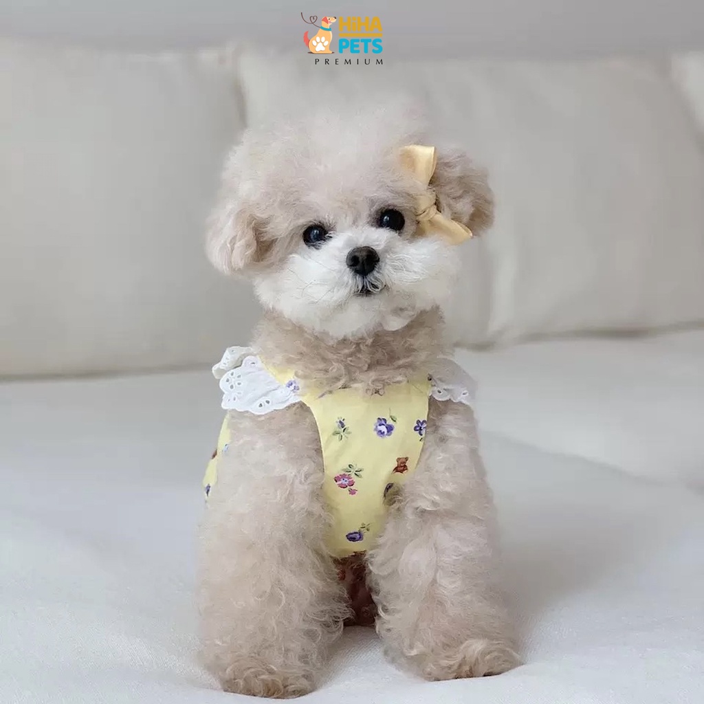 Quần Áo Cho Chó Mèo Hàn Quốc Quần Áo Cho Thú Cưng Cao Cấp Form Bí Hihapet.