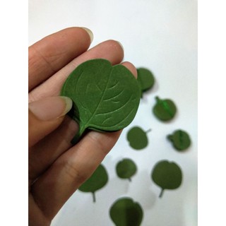 100 Lá táo đơn đã cắt sẵn