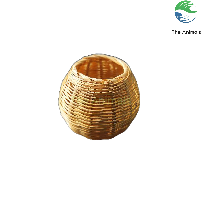 Cóng đựng sâu, thức ăn cho chim bằng tre