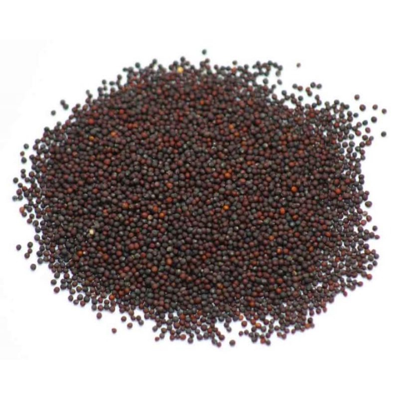 Hạt giống rau cải mèo thuần chủng túi 20gr