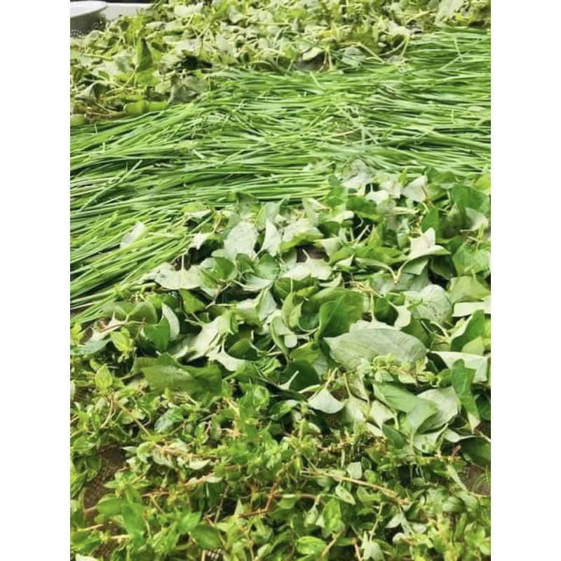 SIRO HO QUẤT HÚNG CHANH ĐƯỜNG PHÈN HANDMADE