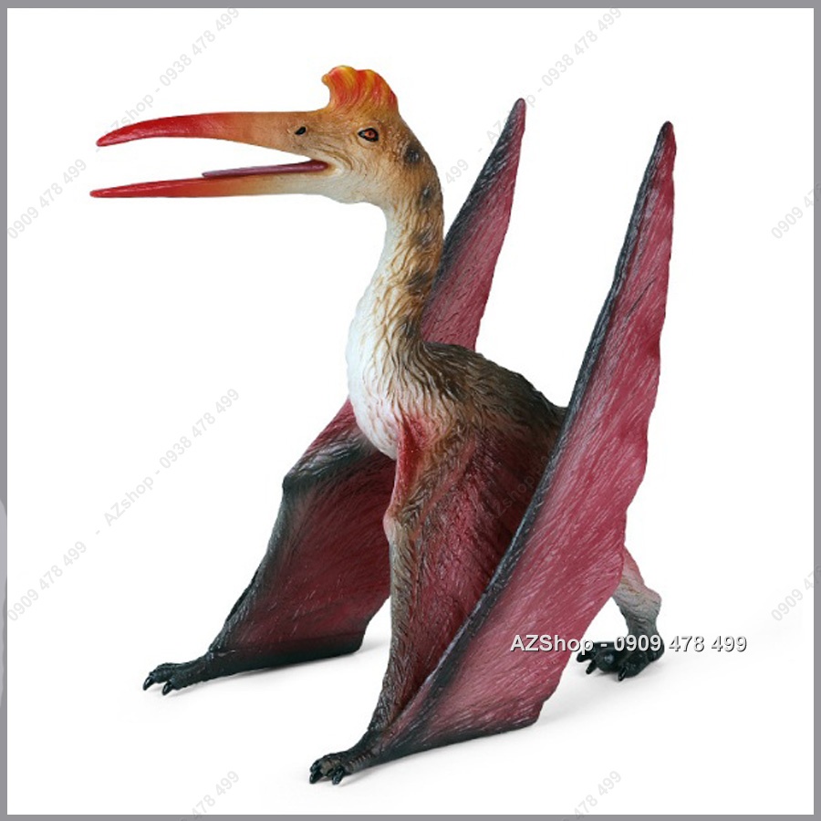 Mô Hình Khủng Long Thằn Lằn Bay Khổng Lồ