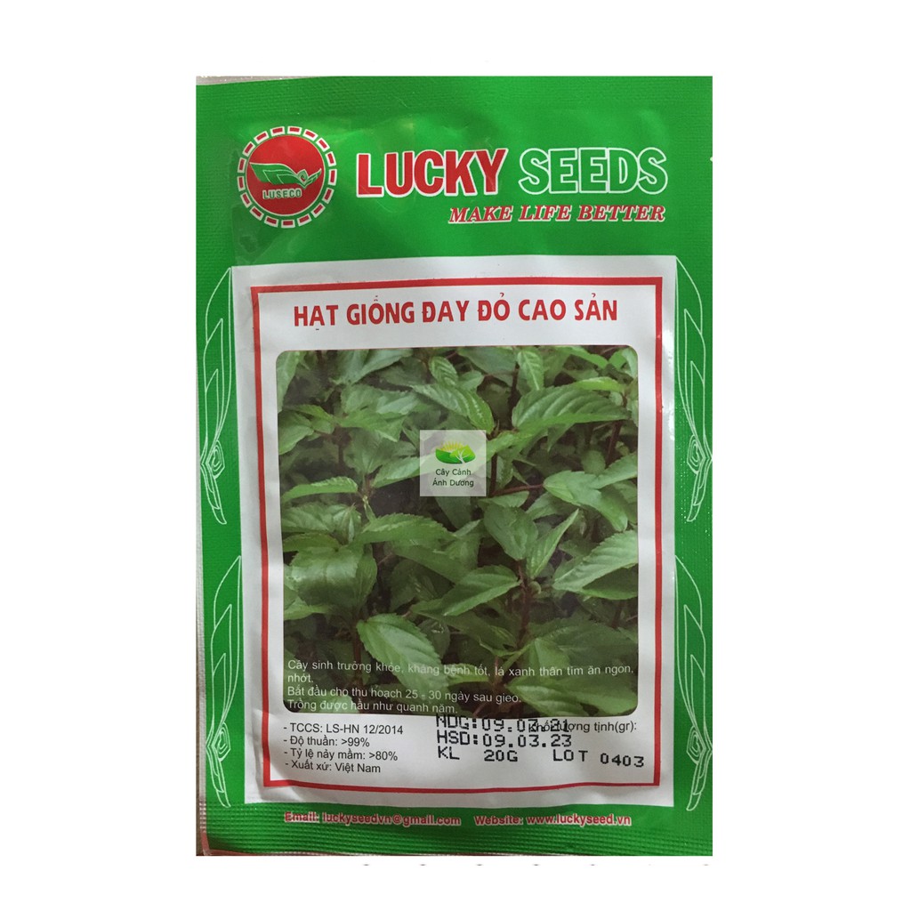 Hạt giống rau đay