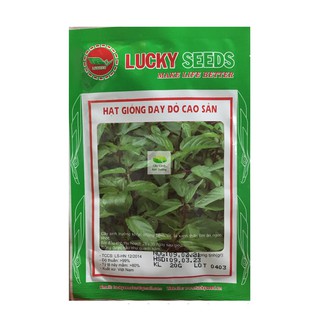 Hạt giống rau đay